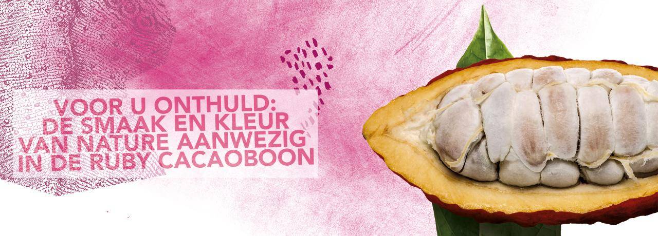 Callebaut Ruby RB1 chocolade