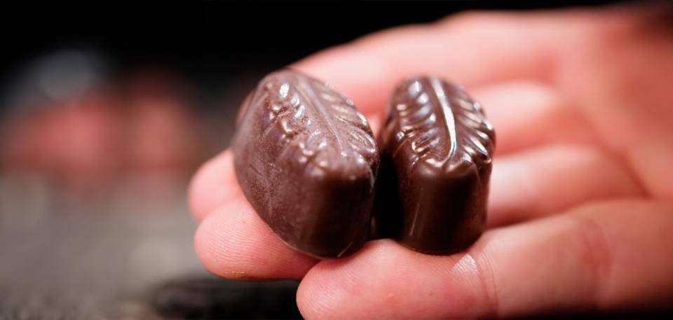 Callebaut moulded chocolates