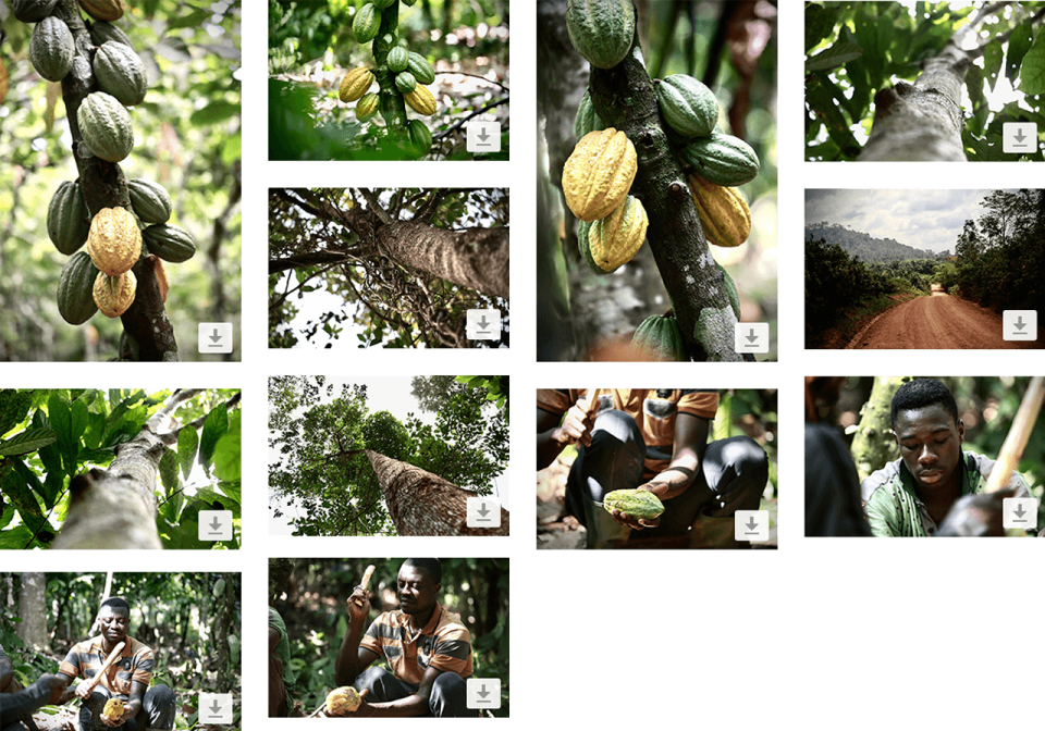 Download selection of images callebaut