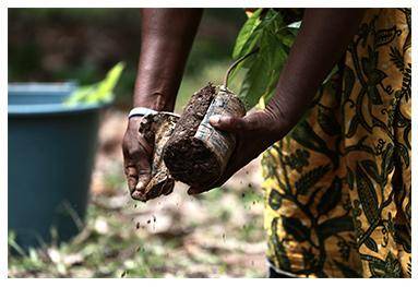 Jsme hrdí na svou čokoládu skvělé chuti
