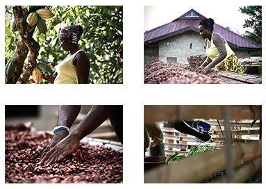 Trust Důvěra začíná u zdroje