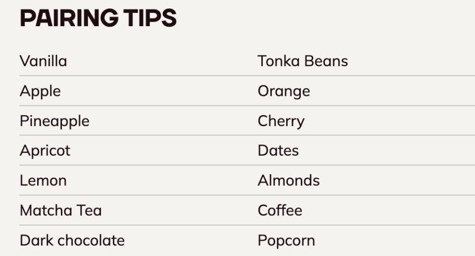 The Chocolate Ambassdors in the kitchen