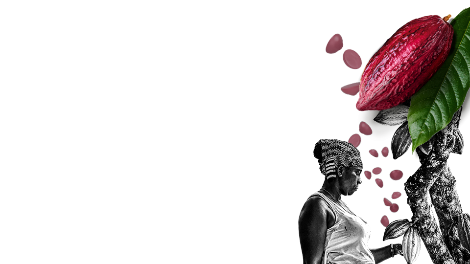 callebaut ruby chocolate rb2 mother's nature