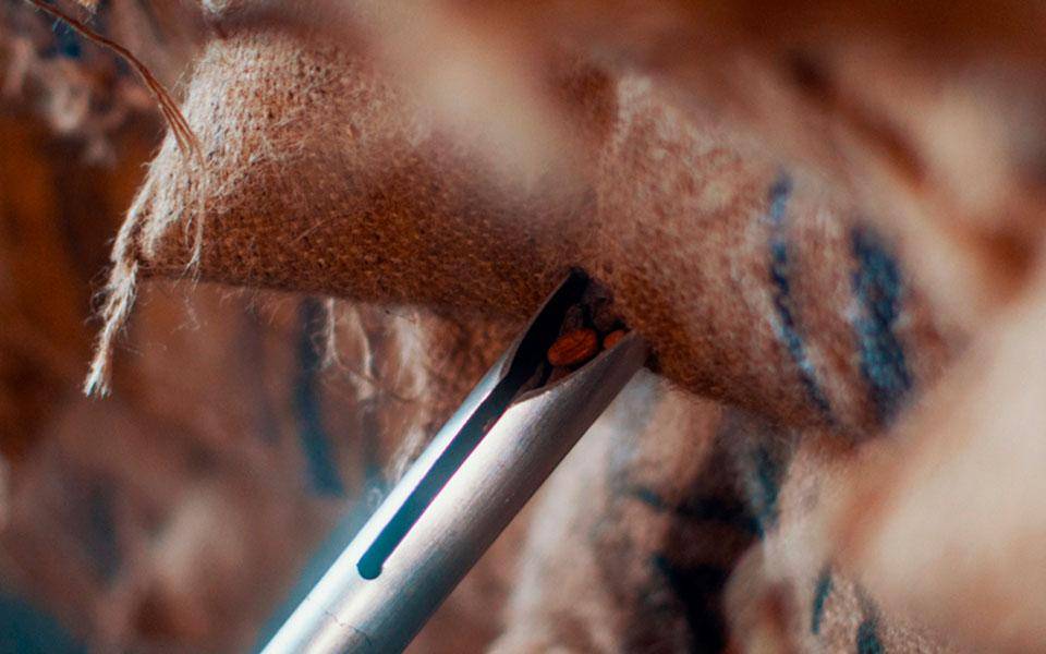 callebaut_traceable_quality_control_cocoa_beans