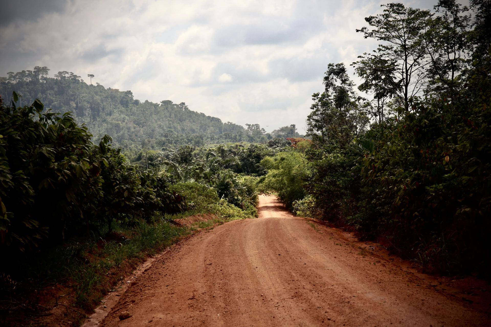 Callebaut and the EUDR: Crafting a More Sustainable Future Together