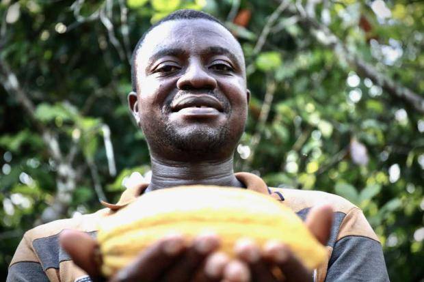 Callebaut cocoa joseph