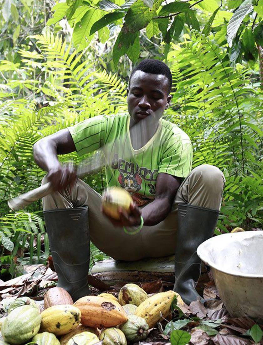 Elijah farmer Callebaut