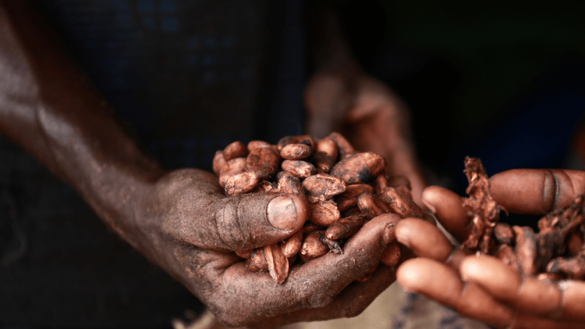 원두 선택 방법