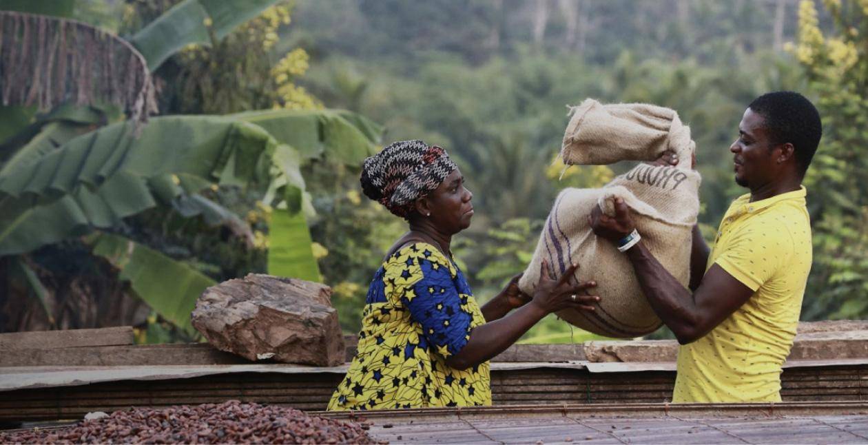 callebaut cocoa farmers 