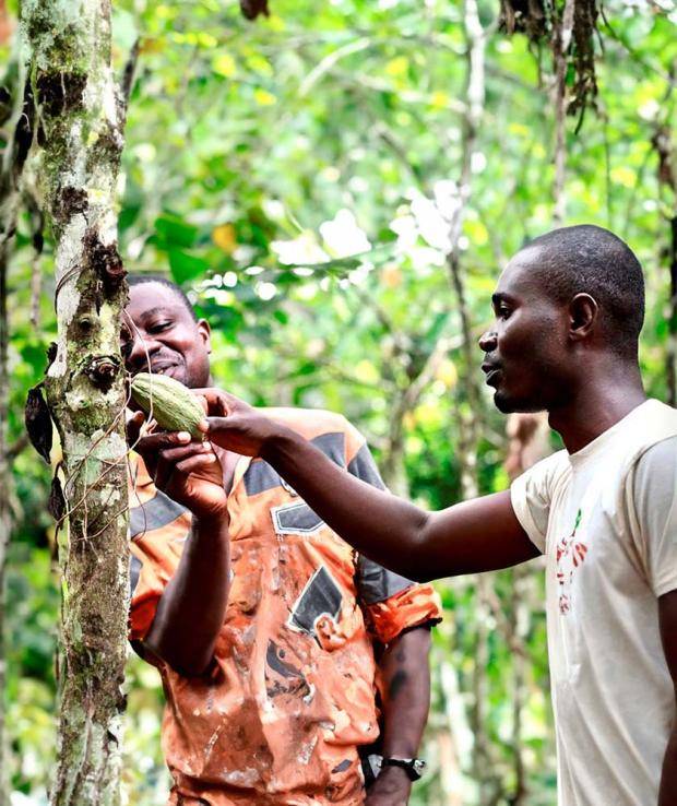 MAKING BETTER CHOCOLATE