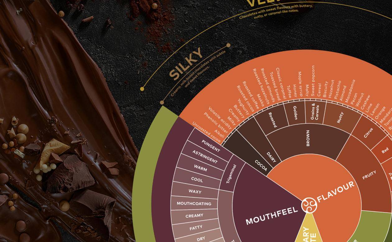 Callebaut Taste Wheel