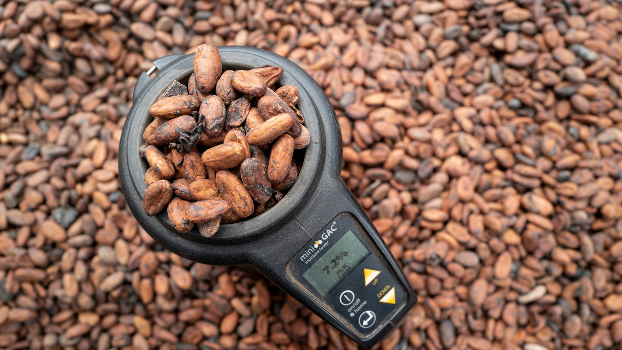 Taste that gives back 