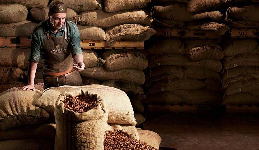 ウィーゼ ブレンドの秘密: その素晴らしい味わいの起源