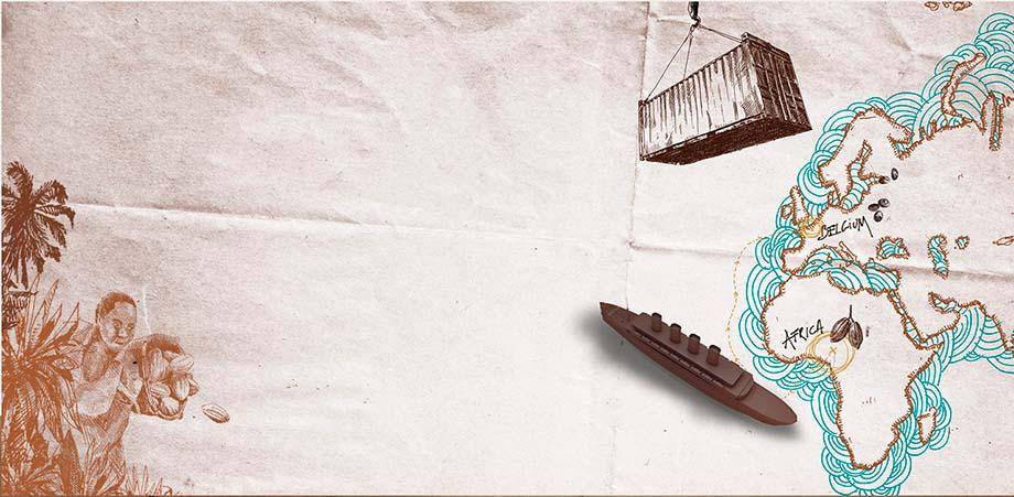 豆をベルギーに出荷