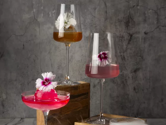 Обновите меню шоколадных и алкогольных напитков с Van Houten!