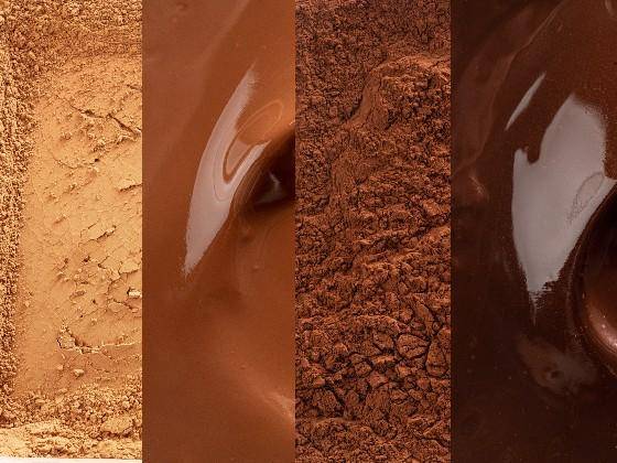 A natural cacao powder and a dutched powder, each shown both dry and dissolved in liquid