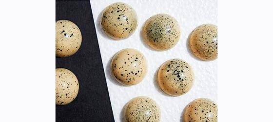 This is a placeholder image