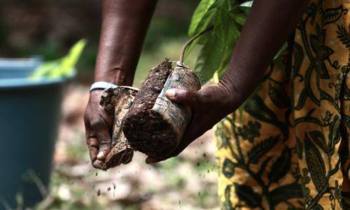 Narratives to inspire your communication 