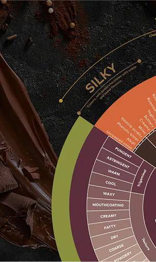 Callebaut Taste Wheel